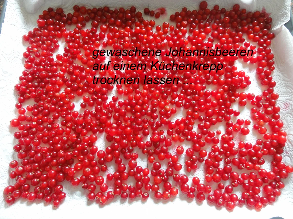 Biskuit:   JOHANNISBEER TORTE - Rezept - Bild Nr. 8372