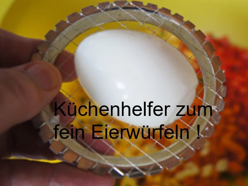 Rezept: Nudelsalat mit Gabelspaghetti, Gemüse und Eiern Bild Nr. 8378 Nudelsalat mit Gabelspaghetti, Gemüse und Eiern - Rezept - Bild Nr. 8378