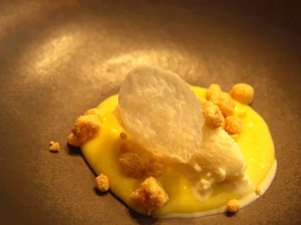 Milch & Honig: Bergamottencreme und getrockneter Milchschaum - Rezept - Bild Nr. 8380