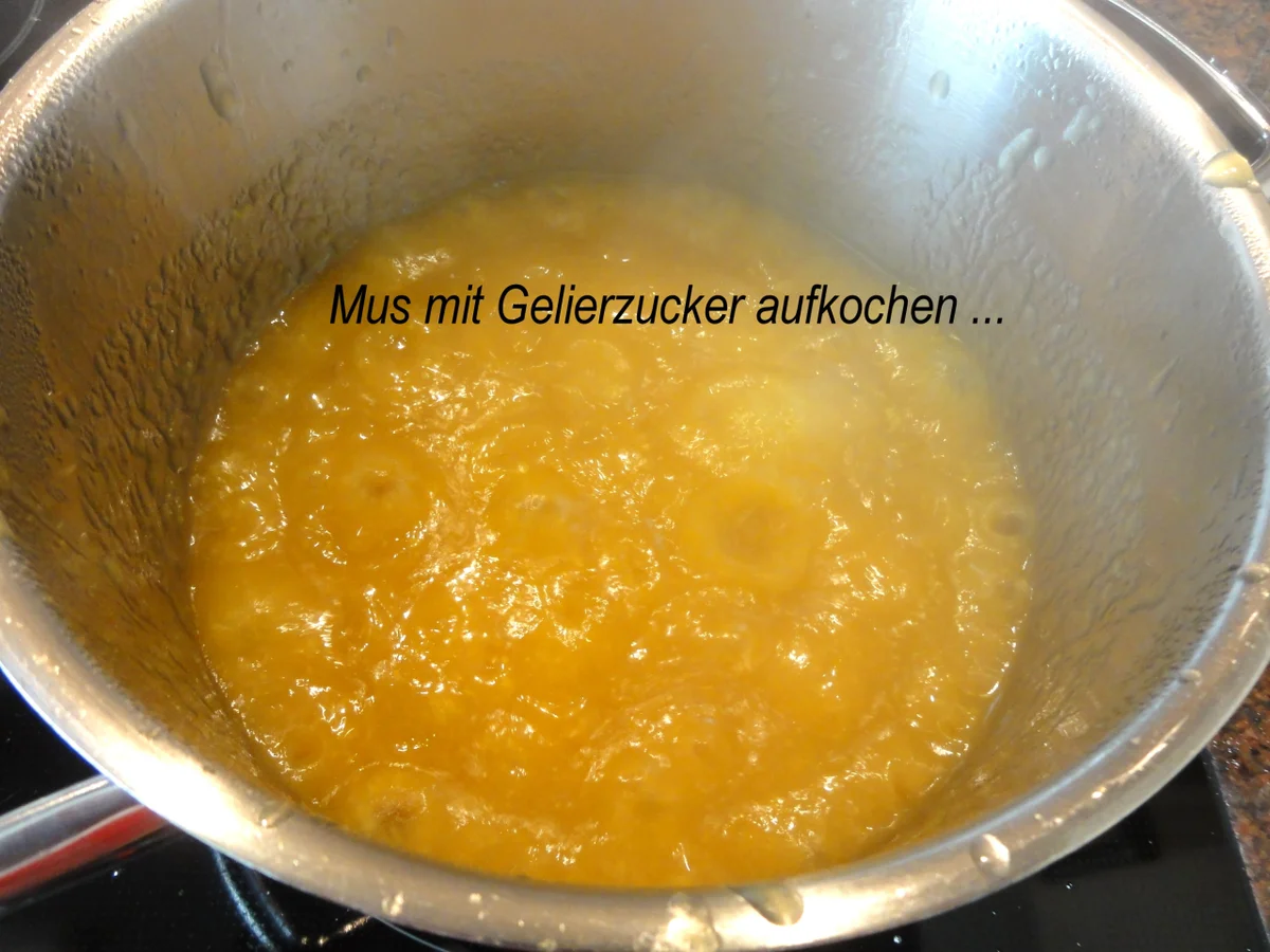 Rezept: M&G: MANGOMARMELADE Bild Nr. 8392 M&G: MANGOMARMELADE - Rezept - Bild Nr. 8392