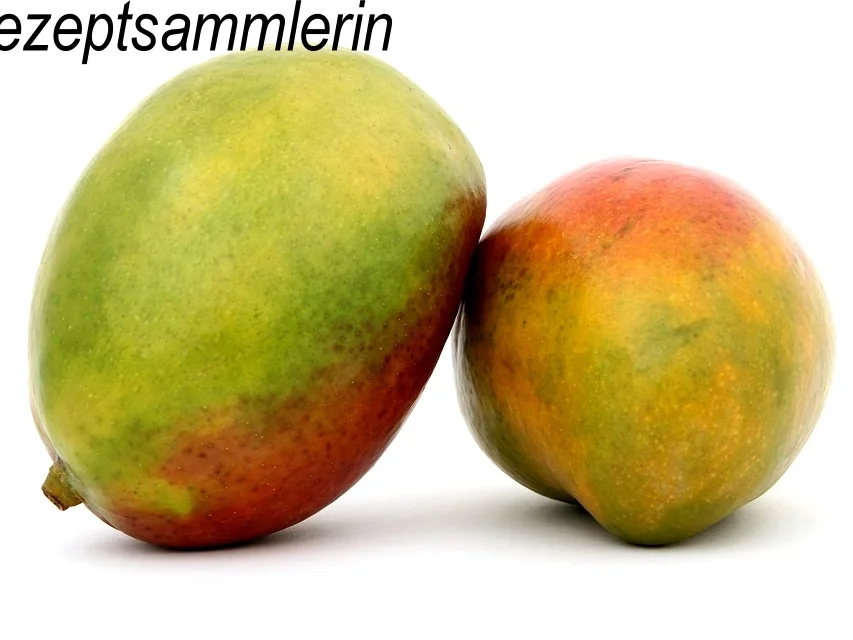 Rezept: M&G: MANGOMARMELADE Bild Nr. 8393 M&G: MANGOMARMELADE - Rezept - Bild Nr. 8393