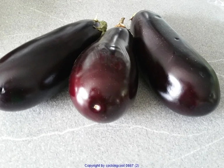 Rezept: Auberginenauflauf Bild Nr. 8410 Auberginenauflauf - Rezept - Bild Nr. 8410