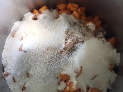 Aprikosen-Marmelade oder auch Marillen - Konfitüre  - hausgemachtes Glück - Rezept - Bild Nr. 8429