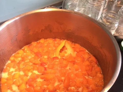 Aprikosen-Marmelade oder auch Marillen - Konfitüre  - hausgemachtes Glück - Rezept - Bild Nr. 8430