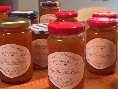 Aprikosen-Marmelade oder auch Marillen - Konfitüre  - hausgemachtes Glück - Rezept - Bild Nr. 8431
