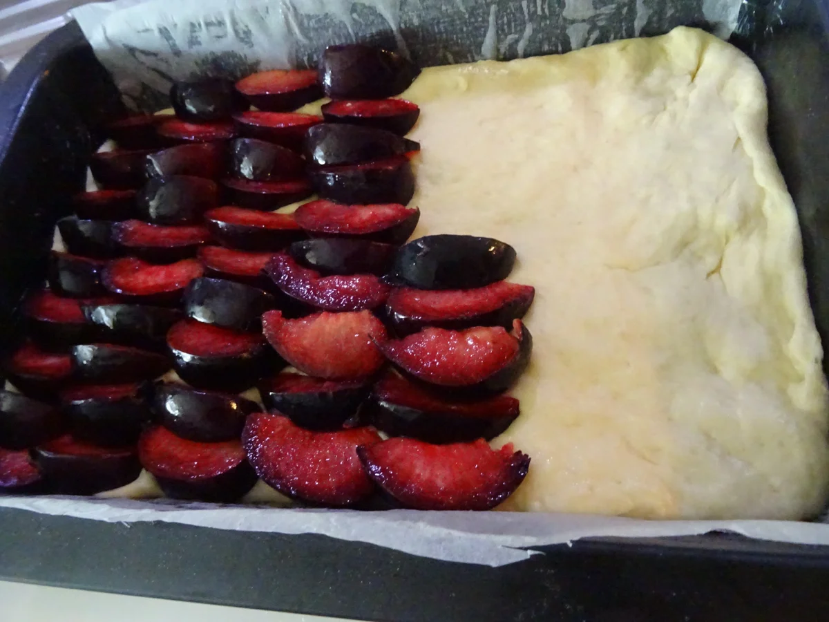 Rezept: Pflaumen-Streuselkuchen Bild Nr. 8451 Pflaumen-Streuselkuchen - Rezept - Bild Nr. 8451