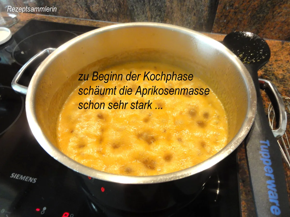 Rezept: M&G: APRIKOSEN ~ FRUCHTAUFSTRICH Bild Nr. 8475 M&G: APRIKOSEN ~ FRUCHTAUFSTRICH - Rezept - Bild Nr. 8475