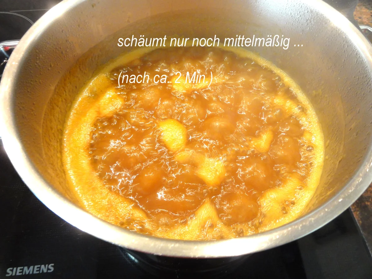 Rezept: M&G: APRIKOSEN ~ FRUCHTAUFSTRICH Bild Nr. 8476 M&G: APRIKOSEN ~ FRUCHTAUFSTRICH - Rezept - Bild Nr. 8476