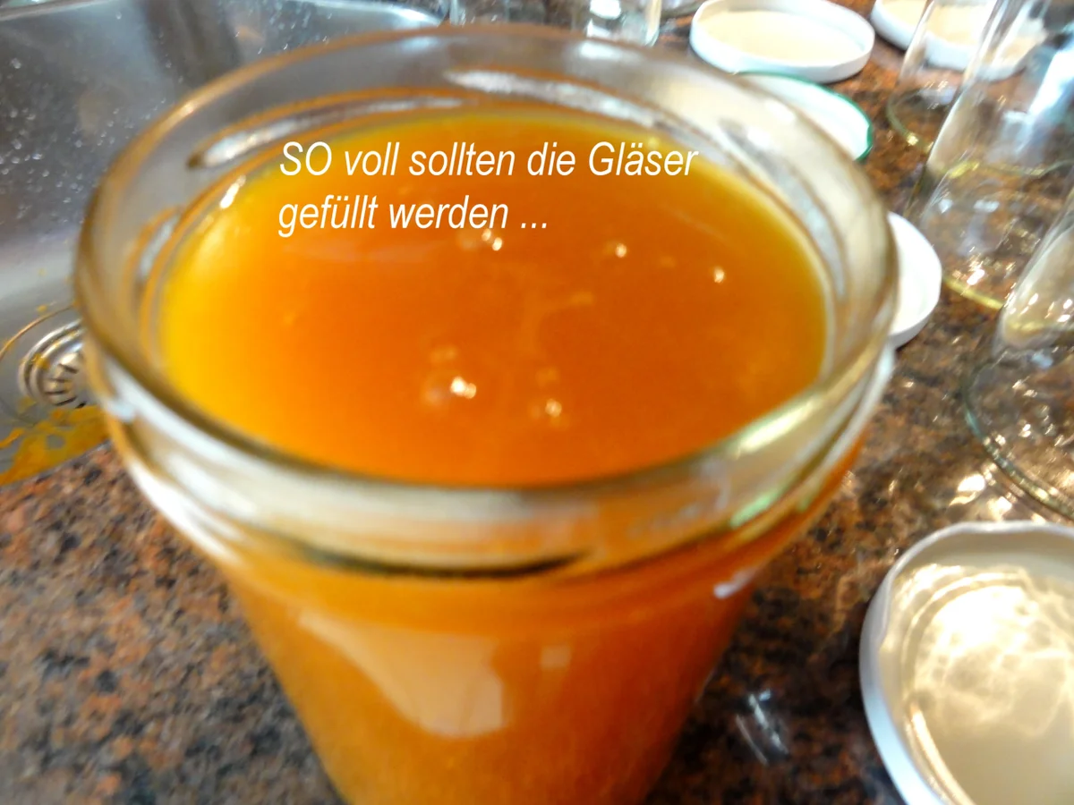 Rezept: M&G: APRIKOSEN ~ FRUCHTAUFSTRICH Bild Nr. 8480 M&G: APRIKOSEN ~ FRUCHTAUFSTRICH - Rezept - Bild Nr. 8480