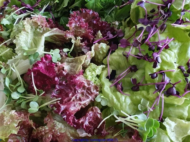 Wasabi Rucula Salat mit Avocado Melone und Passionsfrucht - Rezept - Bild Nr. 8471