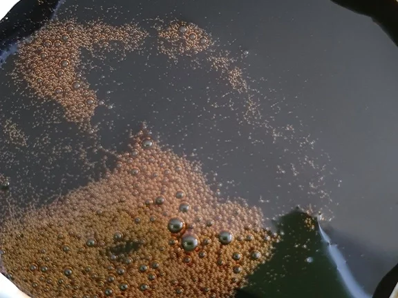 Wasabi Rucula Salat mit Avocado Melone und Passionsfrucht - Rezept - Bild Nr. 8476