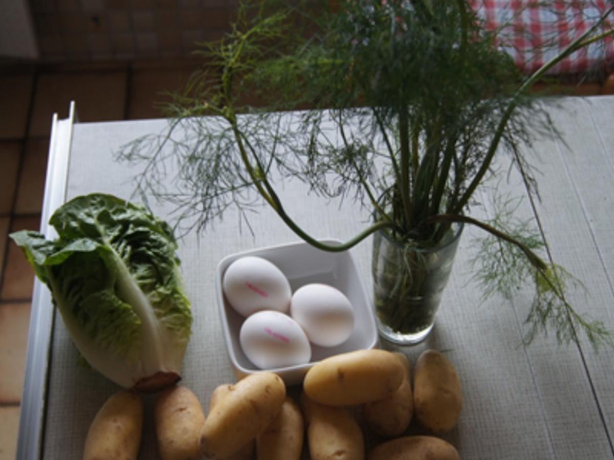 Gekochte Eier mit Dillsauce, Kartoffeln und Romana-Salat - Rezept - Bild Nr. 8472