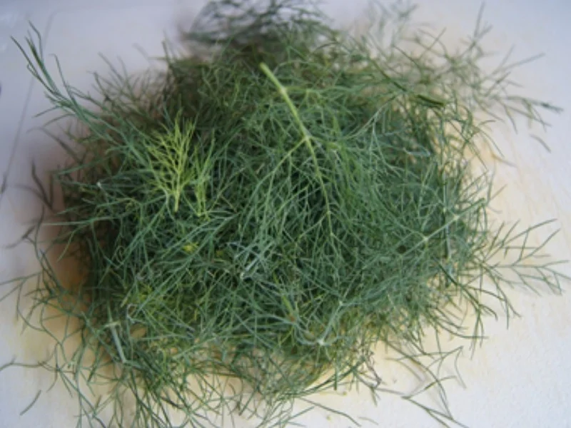 Rezept: Gekochte Eier mit Dillsauce, Kartoffeln und Romana-Salat Bild Nr. 8474 Gekochte Eier mit Dillsauce, Kartoffeln und Romana-Salat - Rezept - Bild Nr. 8474