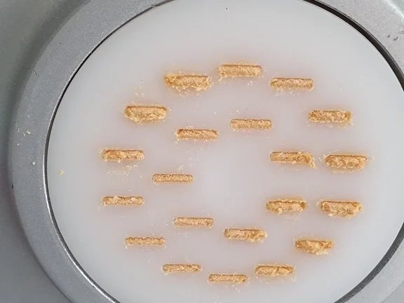 Tomaten Chili Tagliatelle (frisch hergestellt) mit der Pasta Maschine - Rezept - Bild Nr. 8472