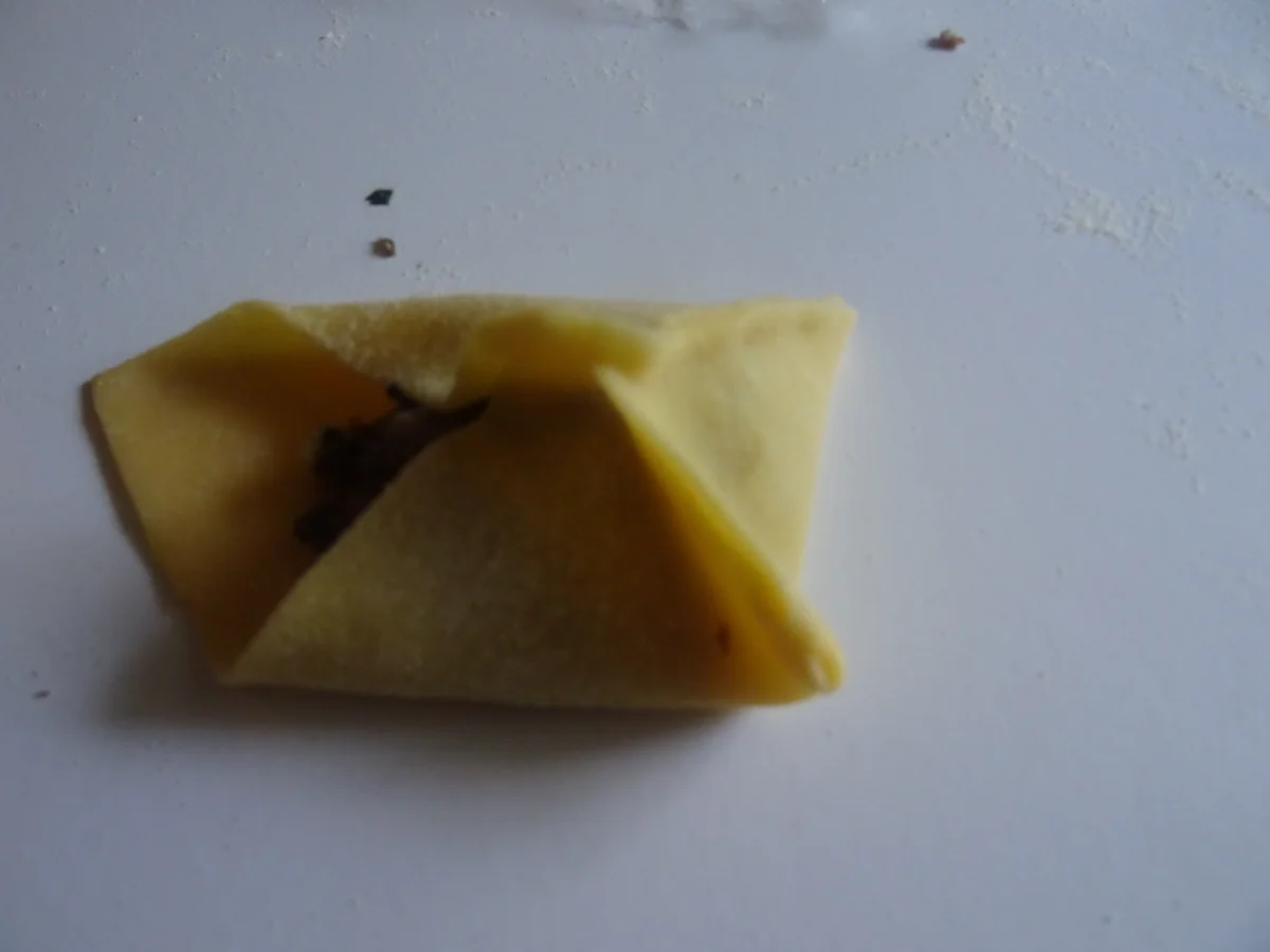 Rezept: Fagottini mit Pilzfüllung und Speck-Sahne-Soße Bild Nr. 8479 Fagottini mit Pilzfüllung und Speck-Sahne-Soße - Rezept - Bild Nr. 8479