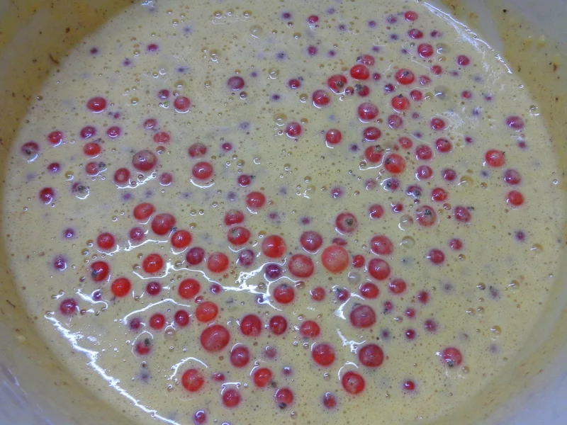 Johannisbeer - Haselnuss - Tarte - Rezept - Bild Nr. 8486