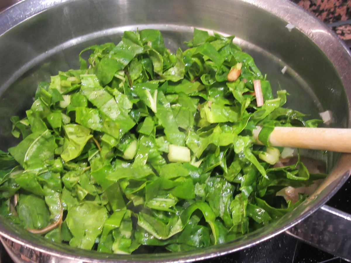 Vollkost: Rote-Bete-Knödel mit Mangold und Sahnepfifferlingen - Rezept - Bild Nr. 8535