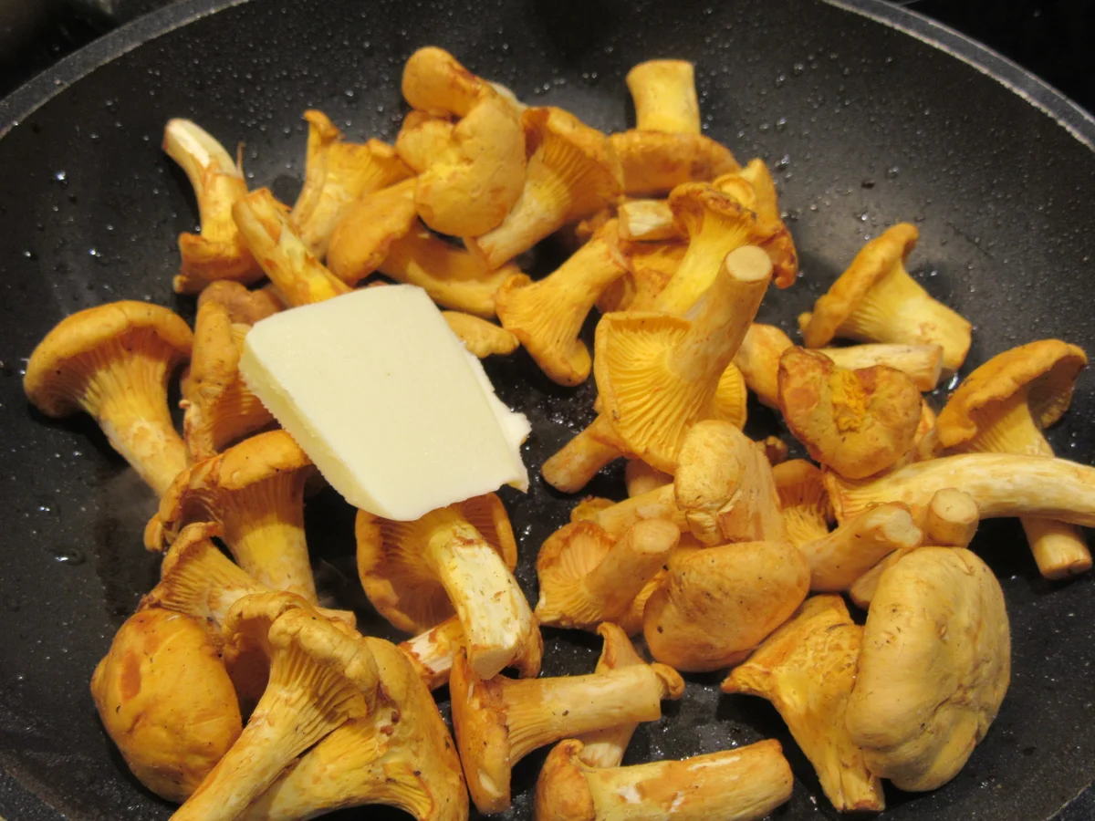 Vollkost: Rote-Bete-Knödel mit Mangold und Sahnepfifferlingen - Rezept - Bild Nr. 8536