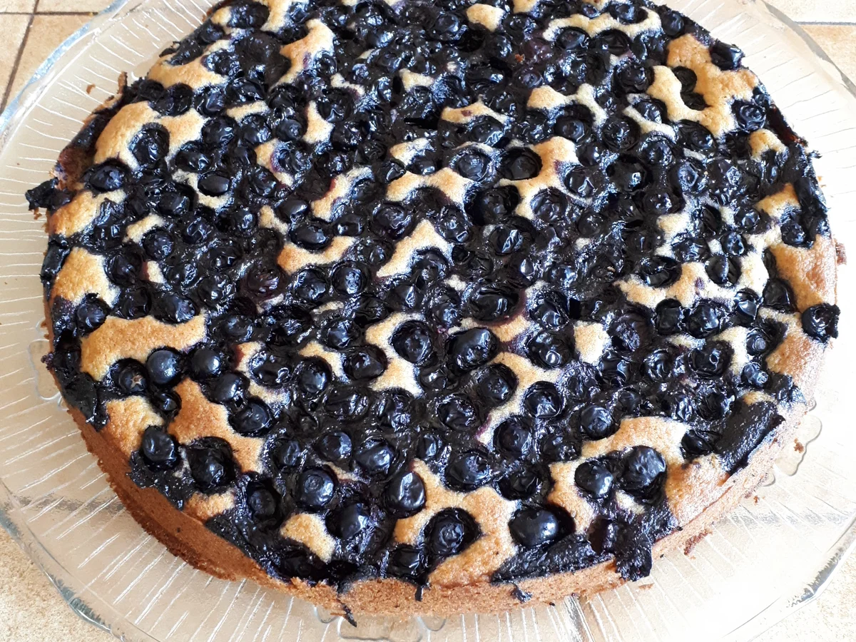 Blaubeer-Kuchen - Rezept - Bild Nr. 8539