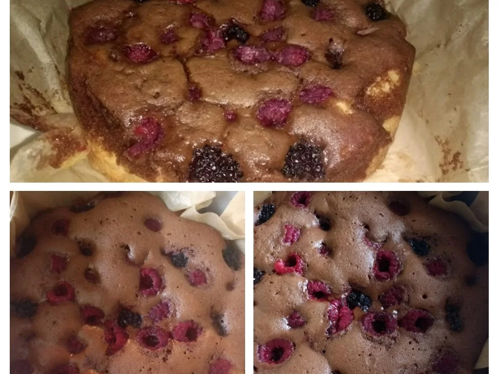 Rezept: Fruchtige Donau - Bärenwelle Bild Nr. 8569 Fruchtige Donau - Bärenwelle - Rezept - Bild Nr. 8569