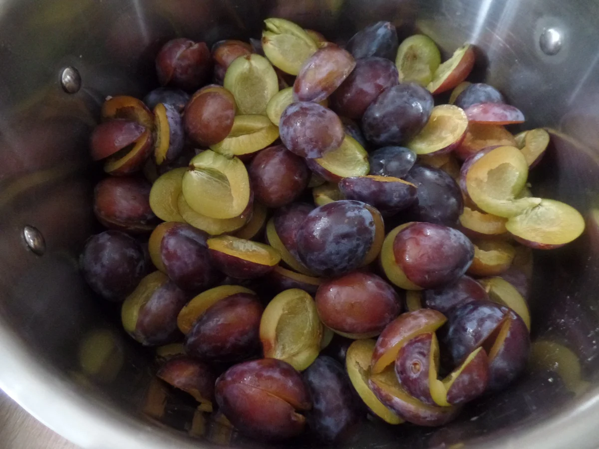 Rezept: Pflaumenkompott Bild Nr. 8571 Pflaumenkompott - Rezept - Bild Nr. 8571