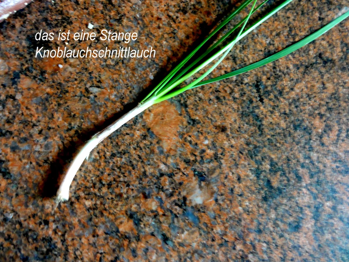 Schweinefilet an Specksauce, Rösti + Kohlrabistifte= kochbar Challenge 8.0 (August 2019) - Rezept - Bild Nr. 8576