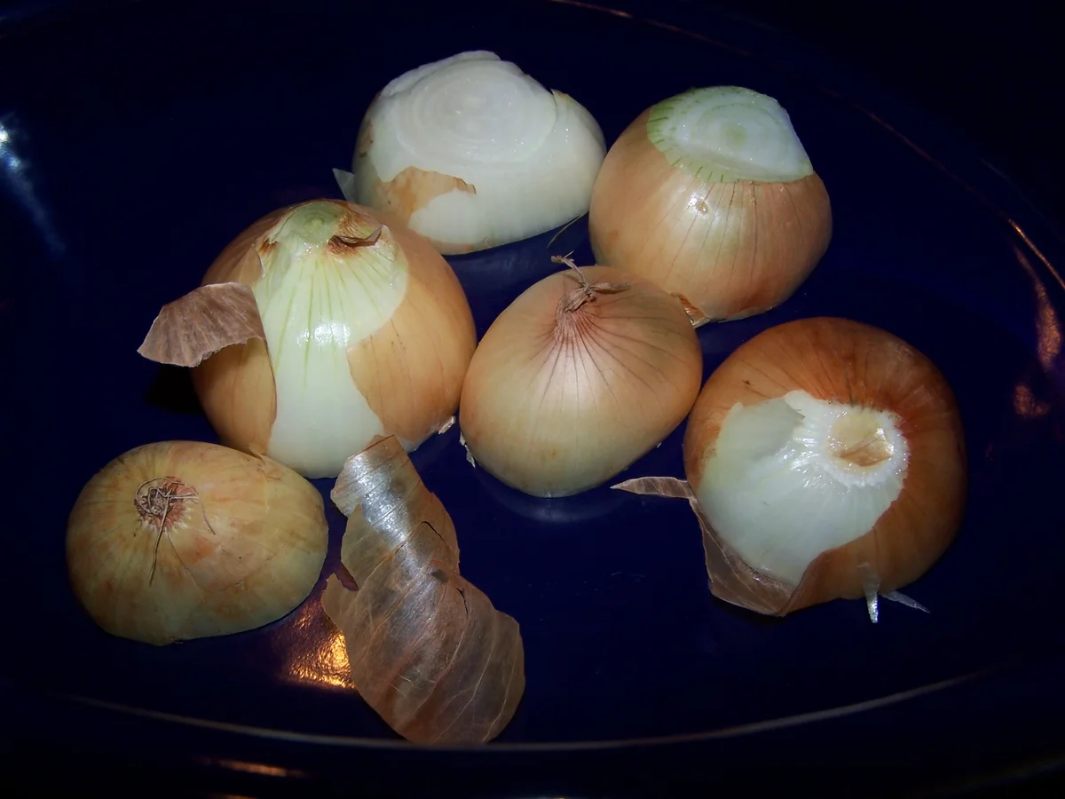 Fleischbrühe mit Gemüse , eingeweckt - Rezept - Bild Nr. 8574