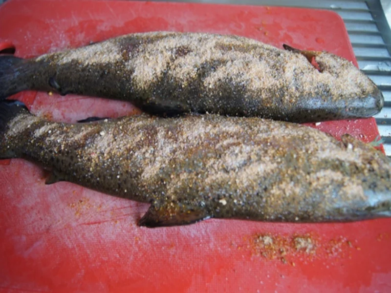 Rezept: Gebackene Regenbogenforelle mit Honig-Bundmöhren Bild Nr. 6 Gebackene Regenbogenforelle mit Honig-Bundmöhren - Rezept - Bild Nr. 6