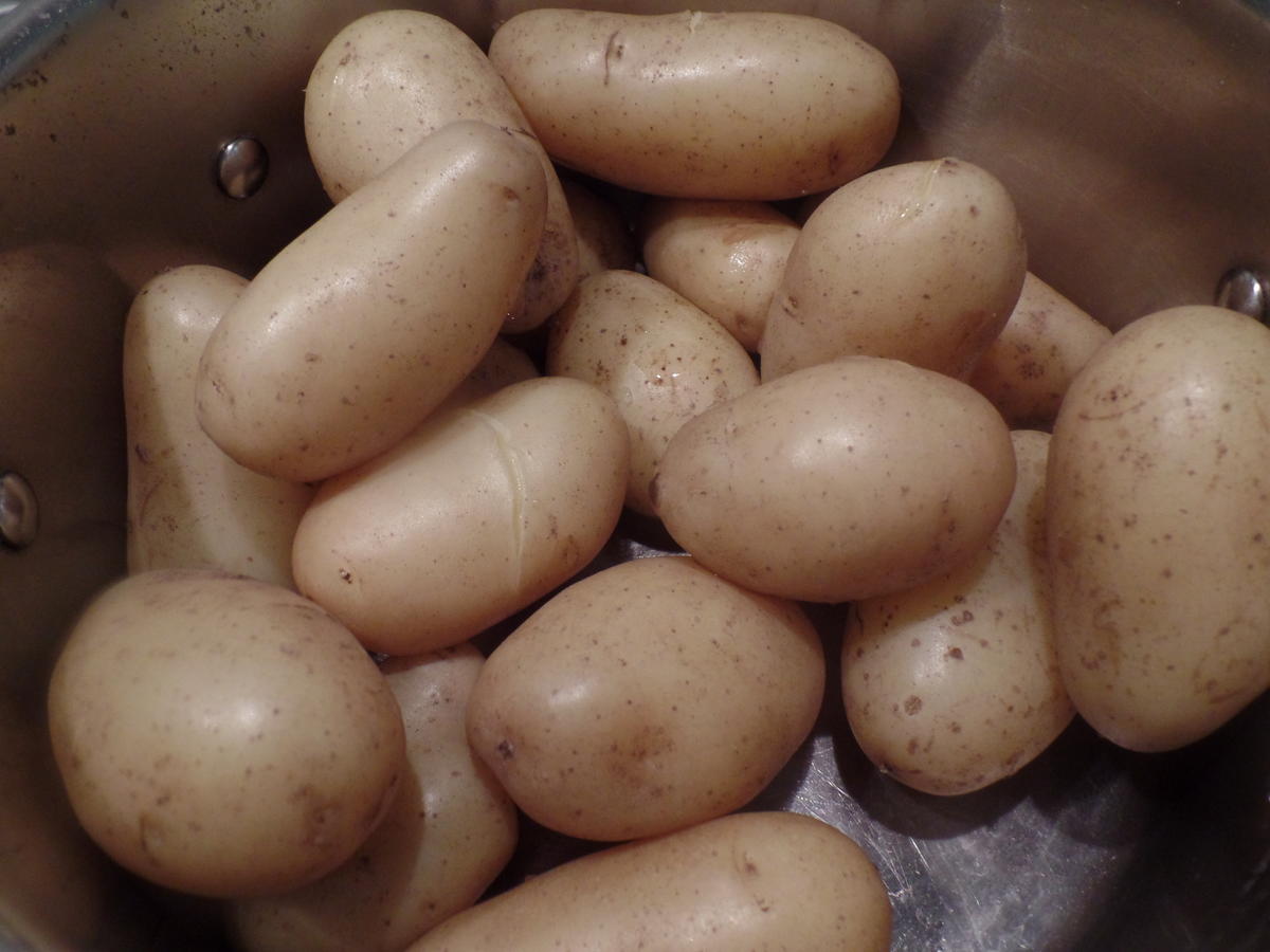 Zander auf Kartoffel-Pilz -Salat - Rezept - Bild Nr. 8572