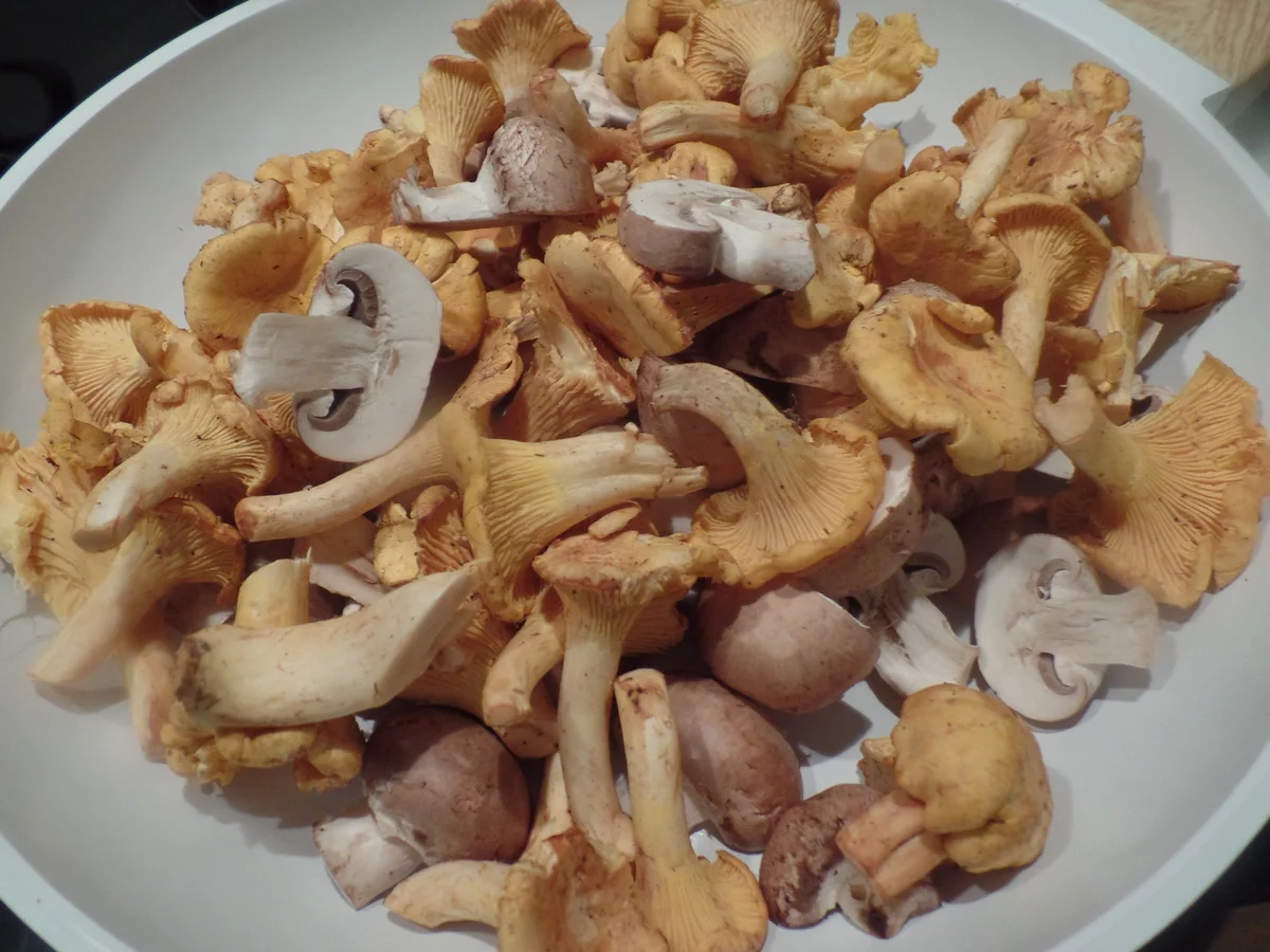 Rezept: Zander auf Kartoffel-Pilz -Salat Bild Nr. 8574 Zander auf Kartoffel-Pilz -Salat - Rezept - Bild Nr. 8574