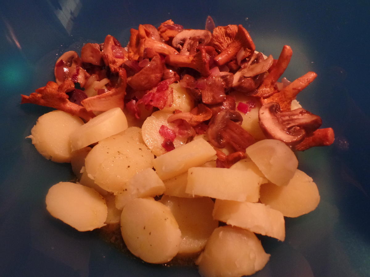 Zander auf Kartoffel-Pilz -Salat - Rezept - Bild Nr. 8578