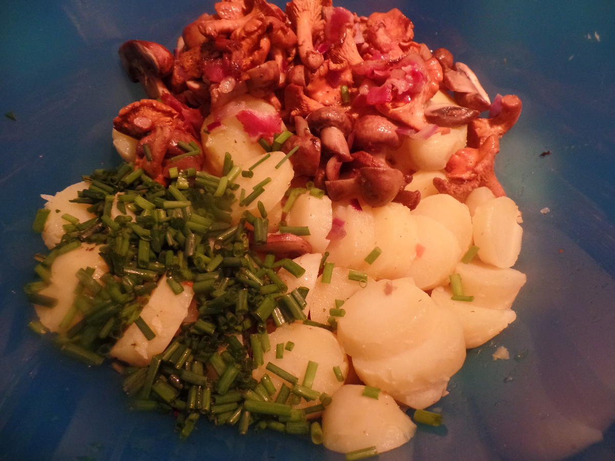 Zander auf Kartoffel-Pilz -Salat - Rezept - Bild Nr. 8579