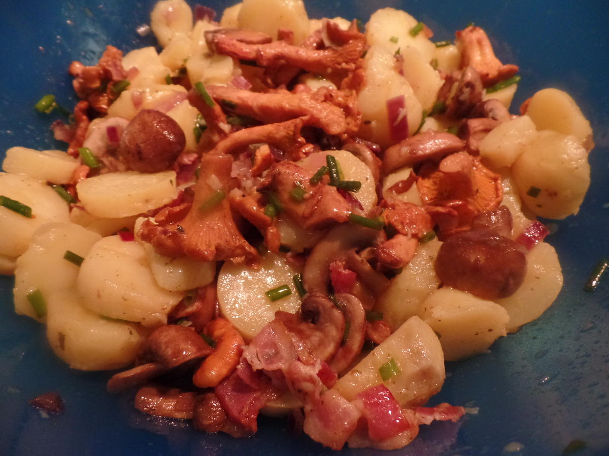 Zander auf Kartoffel-Pilz -Salat - Rezept - Bild Nr. 8580