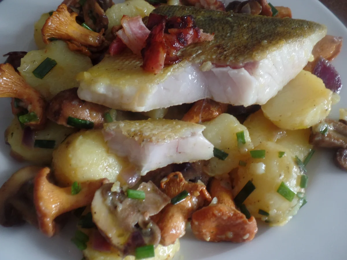 Rezept: Zander auf Kartoffel-Pilz -Salat Bild Nr. 8587 Zander auf Kartoffel-Pilz -Salat - Rezept - Bild Nr. 8587