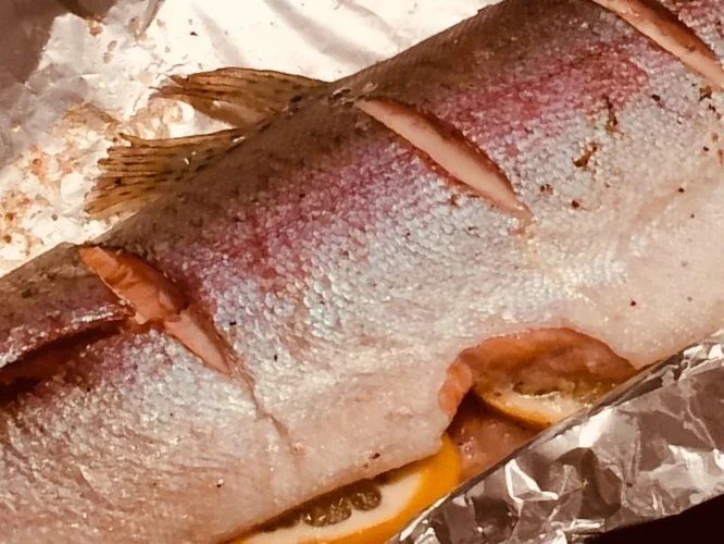 Saftige Lachsforelle aus dem Ofen - einfach, schnell und sehr fein - Rezept - Bild Nr. 8639