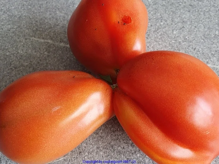 Gartensalat mit Ochsenherztomate und Spiegelei - Rezept - Bild Nr. 8654