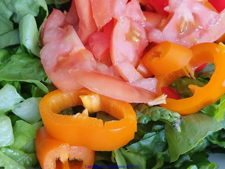 Gartensalat mit Ochsenherztomate und Spiegelei - Rezept - Bild Nr. 8655