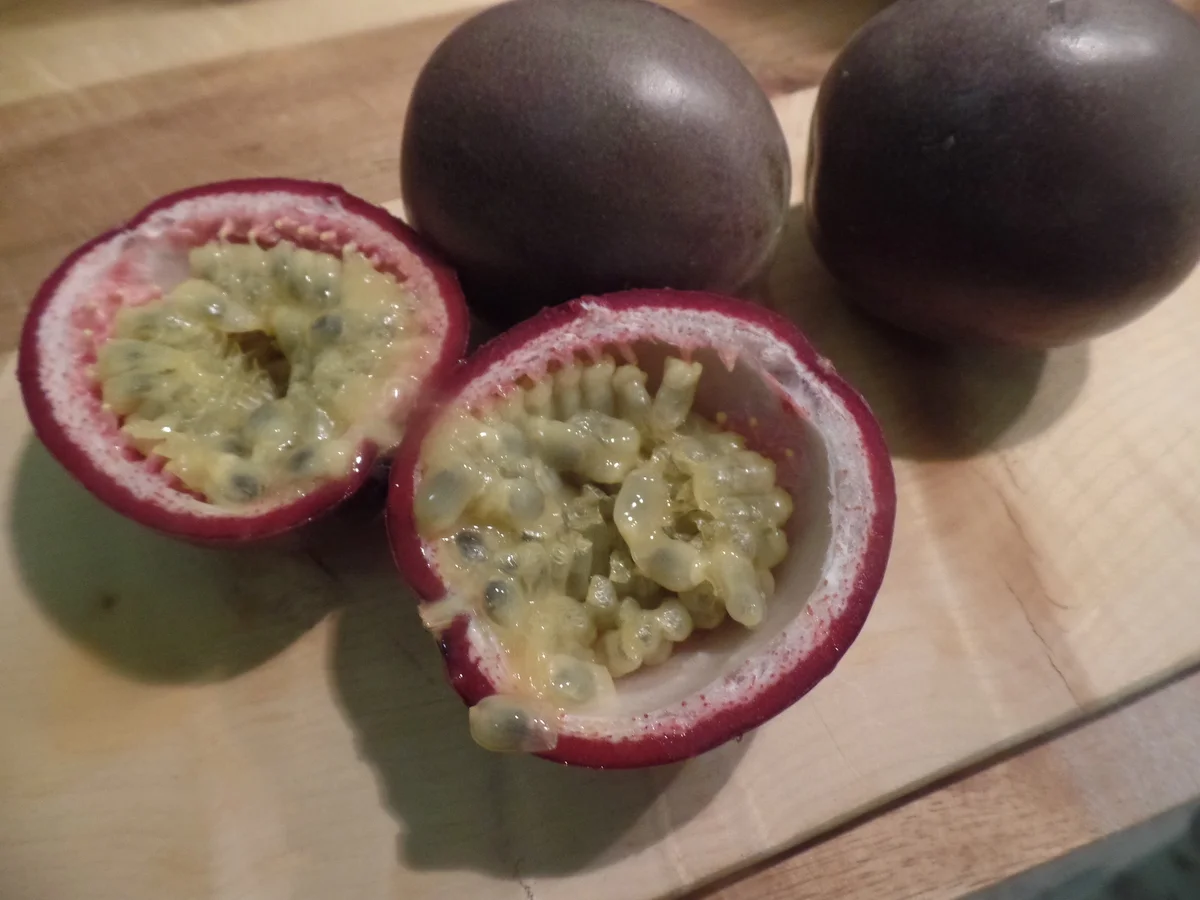 Rezept: Kokos-Cotta mit Passionsfrucht Bild Nr. 8710 Kokos-Cotta mit Passionsfrucht - Rezept - Bild Nr. 8710