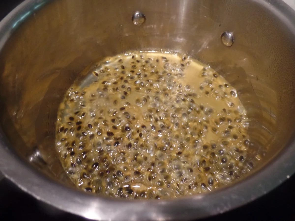 Rezept: Kokos-Cotta mit Passionsfrucht Bild Nr. 8712 Kokos-Cotta mit Passionsfrucht - Rezept - Bild Nr. 8712