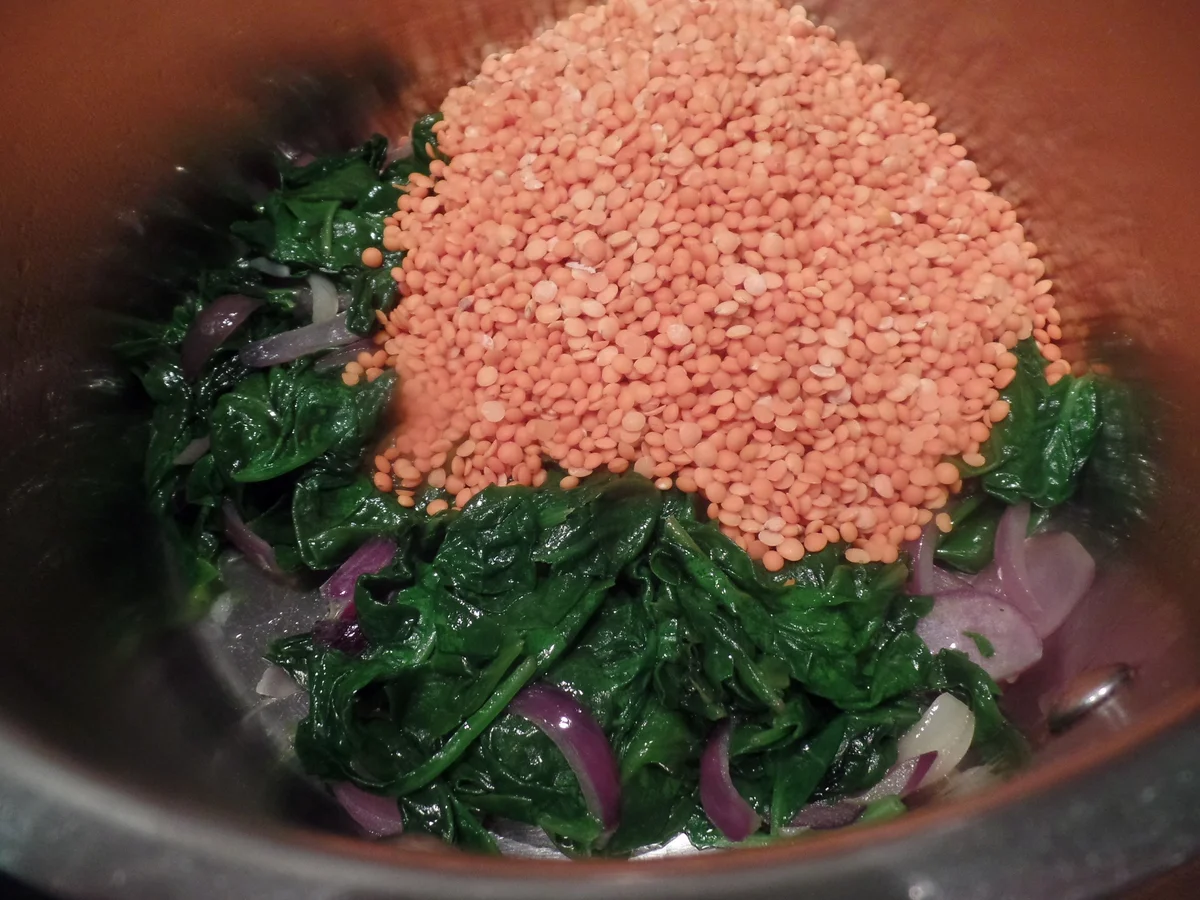 Rote Linsensuppe mit Blattspinat - Rezept - Bild Nr. 8723