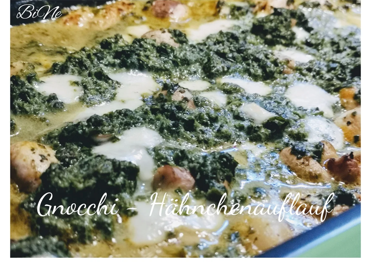 BiNe` S GNOCCHI - HÄHNCHENAUFLAUF - Rezept - Bild Nr. 8749