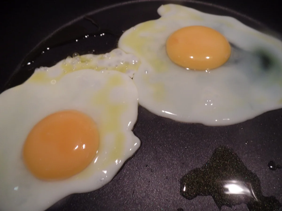 Bandnudeln mit Champigons-Spinat-Frischkäsesauce und Spiegeleiern - Rezept - Bild Nr. 8758