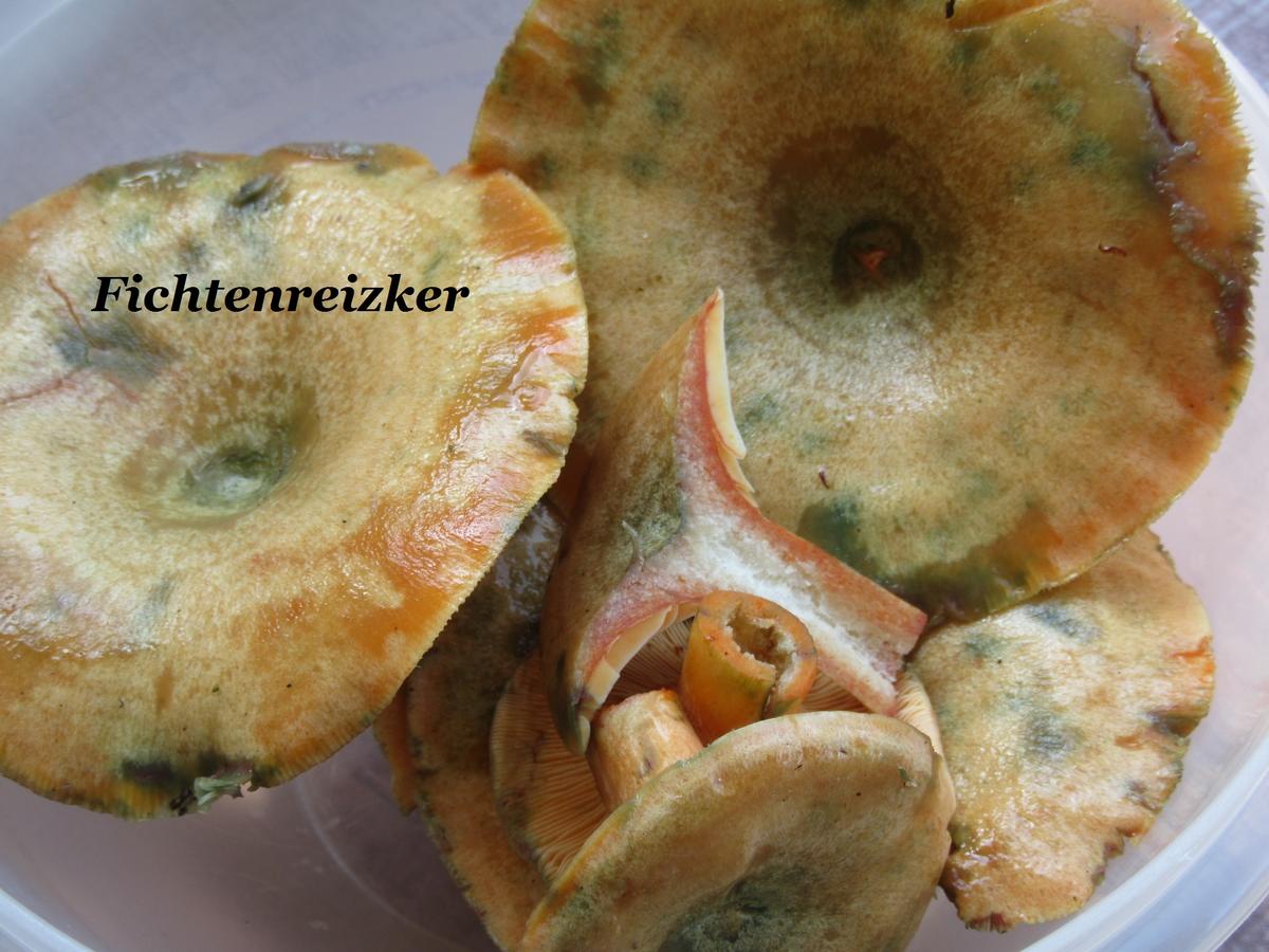 Kartoffeln: Halbseidene Petersilienknödel, gefüllt mit Pilzen - Rezept - Bild Nr. 8787