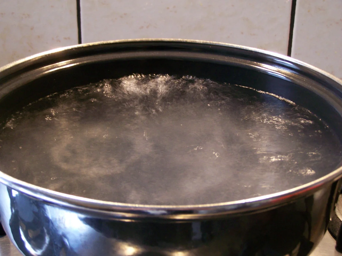 Hoci's scharfes Tomatenmark - Rezept - Bild Nr. 8778