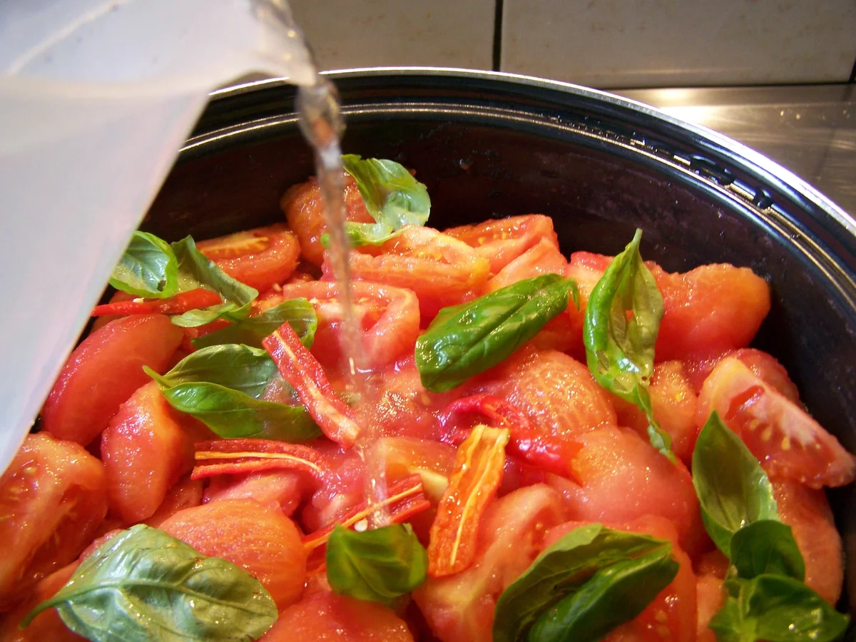 Hoci's scharfes Tomatenmark - Rezept - Bild Nr. 8784