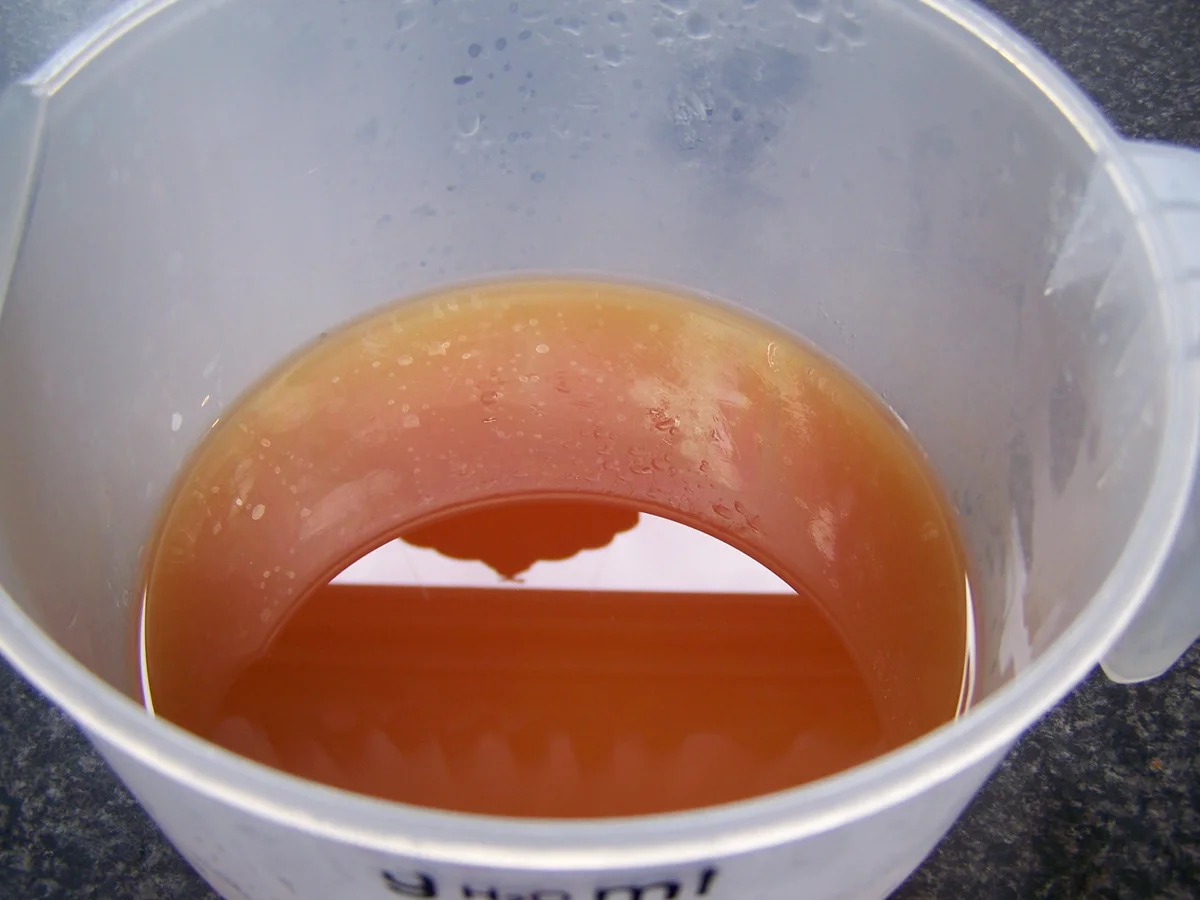 Hoci's scharfes Tomatenmark - Rezept - Bild Nr. 8790