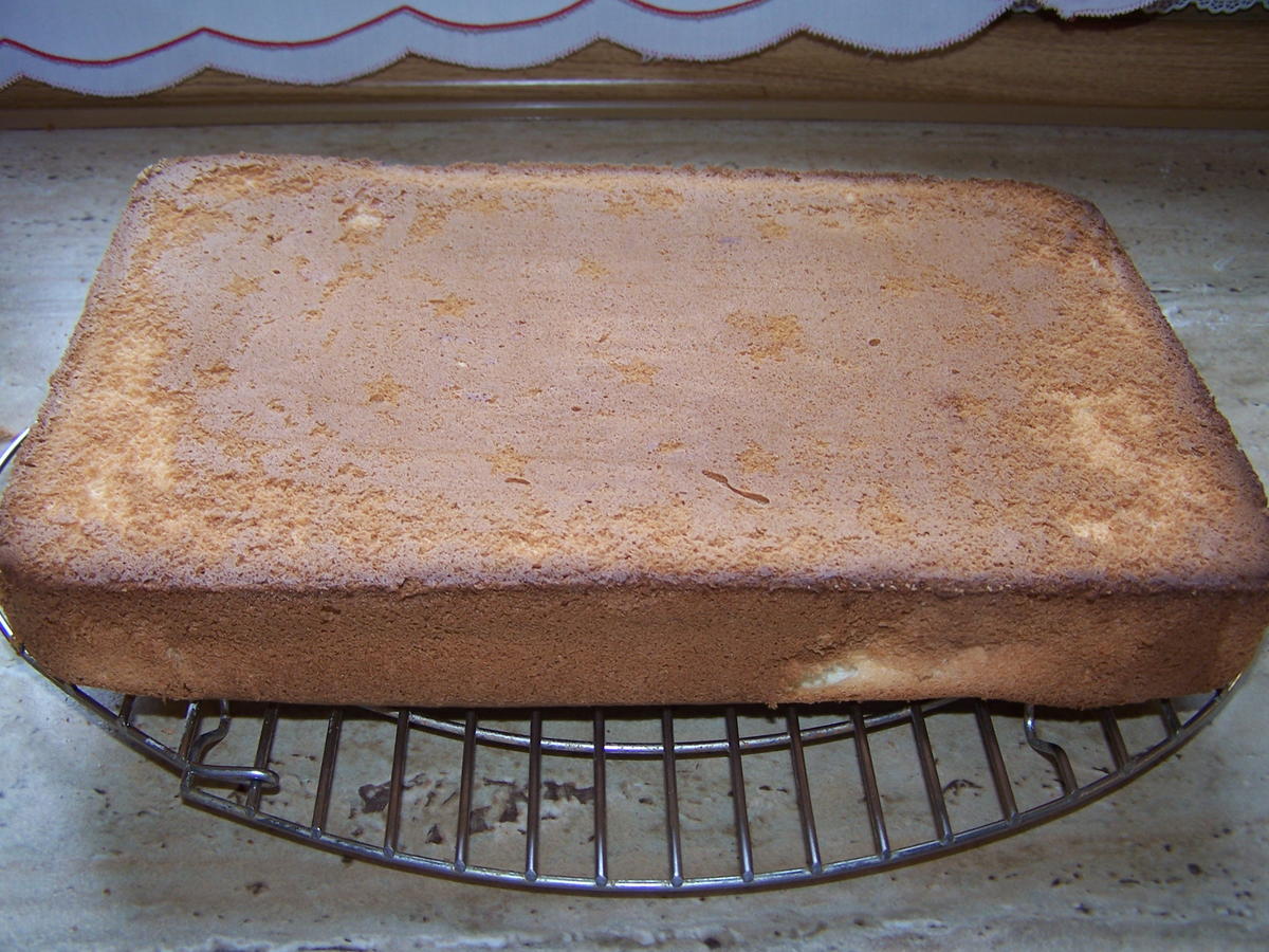 Mandarinen-Quark- Sahne-Torte - Rezept - Bild Nr. 8804