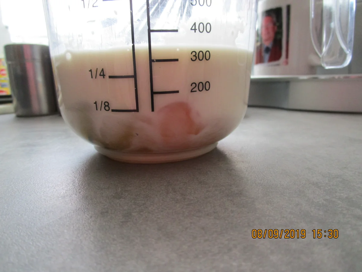 Auflauf mit Tomaten, Kartoffeln  und Thunfisch - Rezept - Bild Nr. 8809