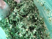 Blätterteig-Spinat-Schnecken - Rezept - Bild Nr. 8805