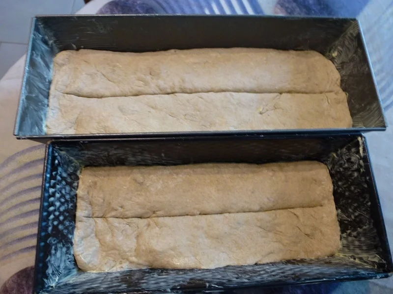 Kasten-Mischbrot - Rezept - Bild Nr. 8841